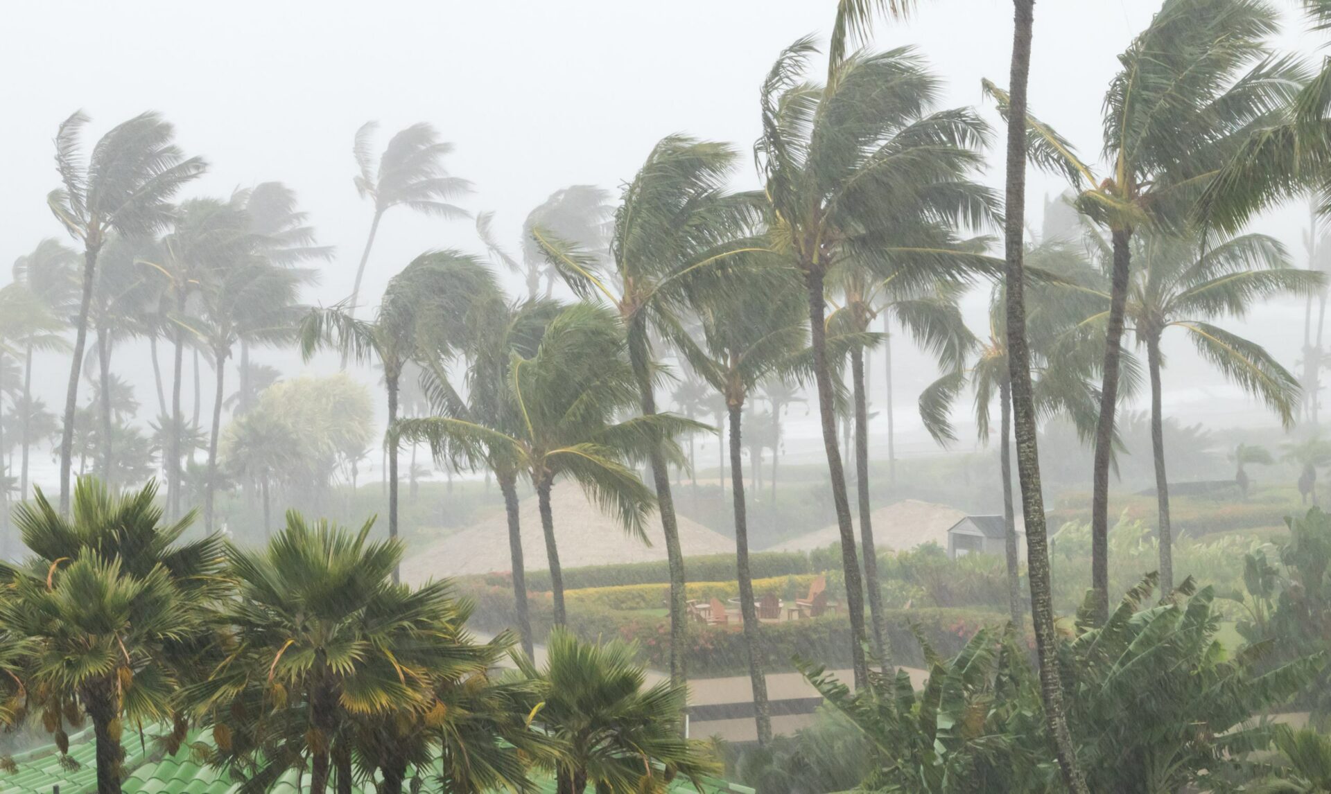 Déménagement à La Réunion : guide de survie pendant les cyclones